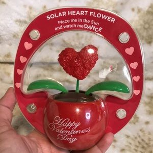 VALENTINES GIFT SOLAR HEART FLOWER